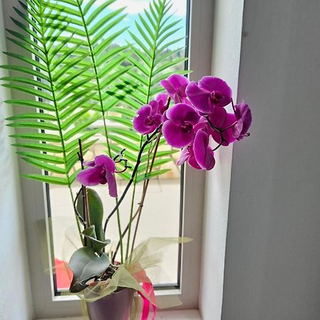 Grey Luxury House Apartment อิปโซส ภายนอก รูปภาพ