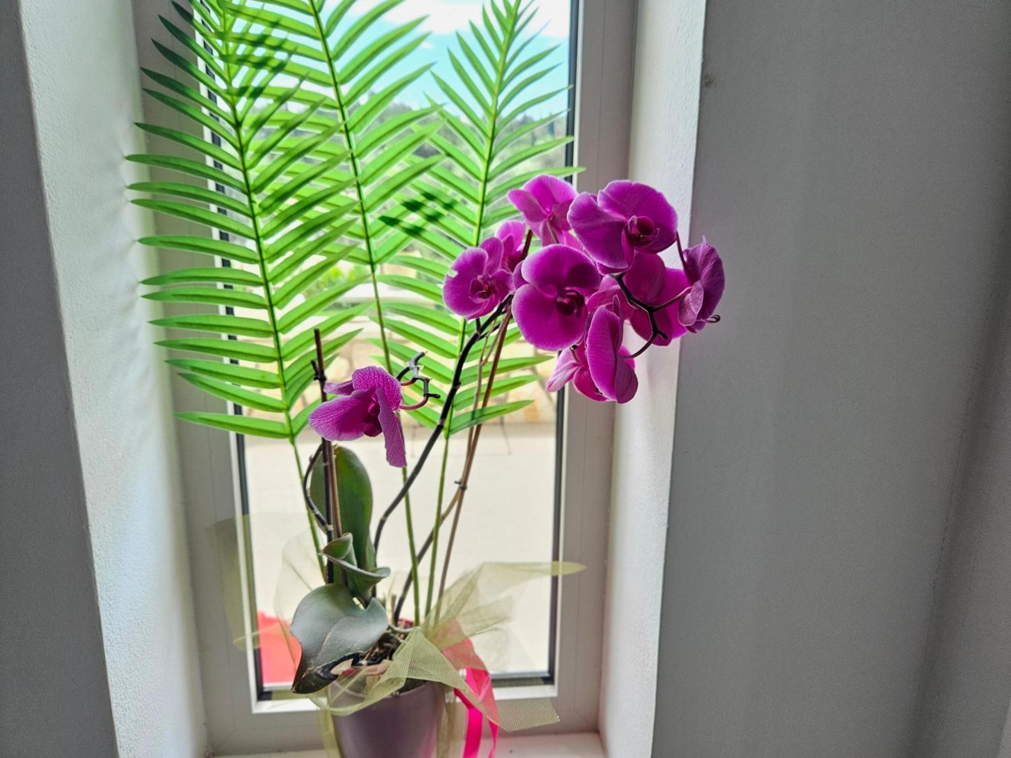 Grey Luxury House Apartment อิปโซส ภายนอก รูปภาพ